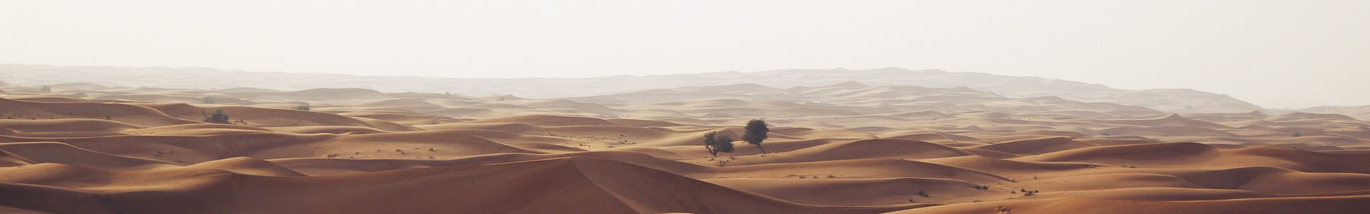 Ŀݷʦ޹˾